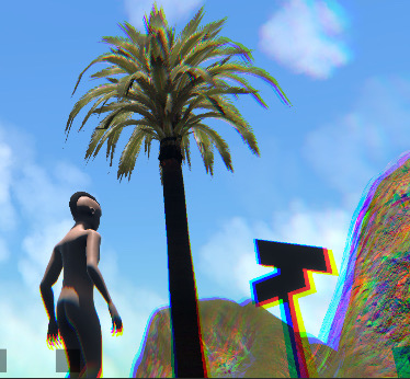 Palm Trees